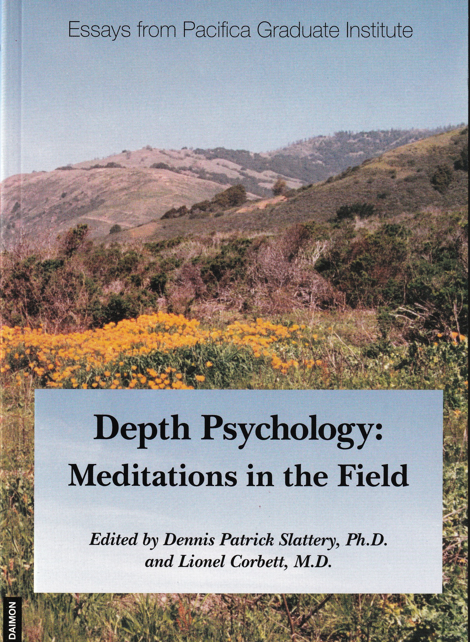 Depth Psychology: Meditations in the Field book cover